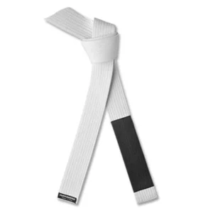BJJ Belt